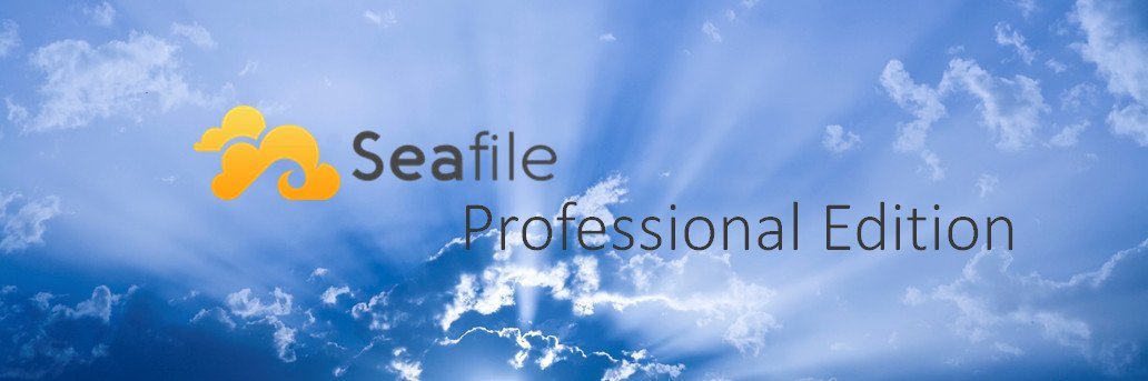Seafile Server Professional Edition verlangt eine gültige Lizenz